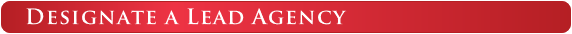 Designate a Lead Agency